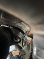 IMG_3526.jpeg