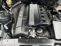 IMG_1335.jpeg IMG_1335.jpeg