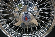 IMG_9989.JPG