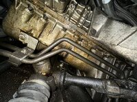 IMG_3396.jpeg