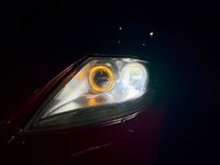 IMG_8350.jpeg