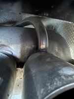 IMG_4438.jpeg