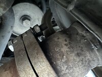 IMG_4439.jpeg