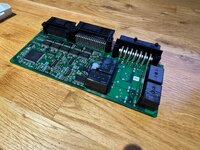 IMG_9586.jpeg