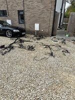 IMG_9557.jpeg IMG_9557.jpeg