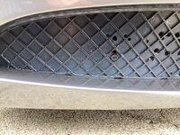 IMG_0079.jpeg
