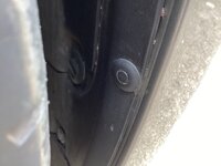 IMG_0091.jpeg