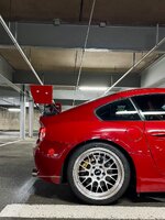 IMG_8647.jpeg