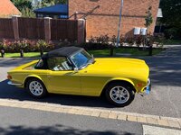 IMG_7226.jpeg IMG_7226.jpeg