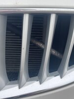 IMG_3768.jpeg