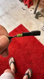 IMG_3258.jpeg