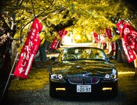 DSC_2708 (3).jpg