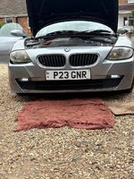 IMG_7946.jpeg
