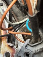 IMG_9876.jpeg