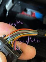 IMG_1098.jpeg