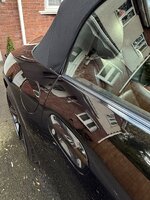 IMG_3795.jpeg