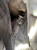 IMG_4516.jpeg IMG_4516.jpeg