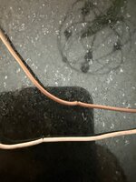 IMG_0308.jpeg