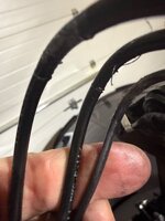 IMG_0312.jpeg