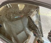 IMG_2638.jpeg