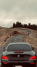 IMG_009881.JPG