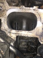 IMG_0150.jpeg