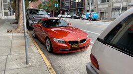 IMG_2974.jpeg