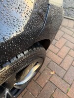IMG_1595.jpeg