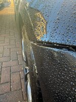 IMG_1594.jpeg