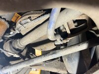 IMG_0802.jpeg