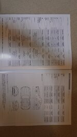 20251112_174426.JPG
