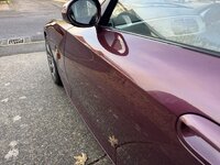 IMG_3187.jpeg