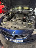 IMG_1955.JPEG