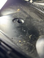 IMG_7027.jpeg