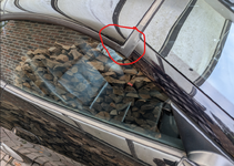 Z4 Seal 1.png