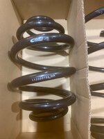 IMG_3110.jpeg