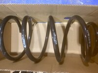 IMG_3111.jpeg