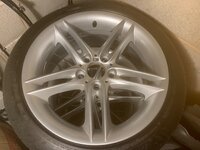 IMG_3113.jpeg