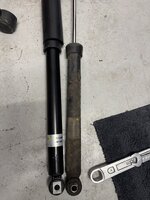 IMG_7053.jpeg IMG_7053.jpeg