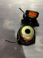 IMG_6394.jpeg