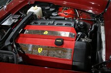 IMG_9947.JPG