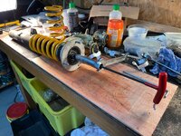 IMG_0902.jpeg