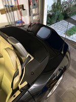 IMG_8743.jpeg