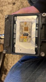 D227A20F-5151-49AC-8AB4-6FC3D9770618.jpeg