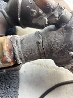 IMG_7186.jpeg