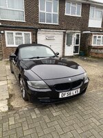 IMG_9761.jpeg IMG_9761.jpeg