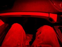 IMG_1007.jpeg