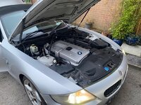 IMG_7416.jpeg