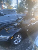 IMG_2900.jpeg