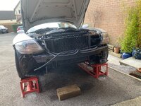 IMG_7480.jpeg